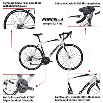 Forcella - Road Bike