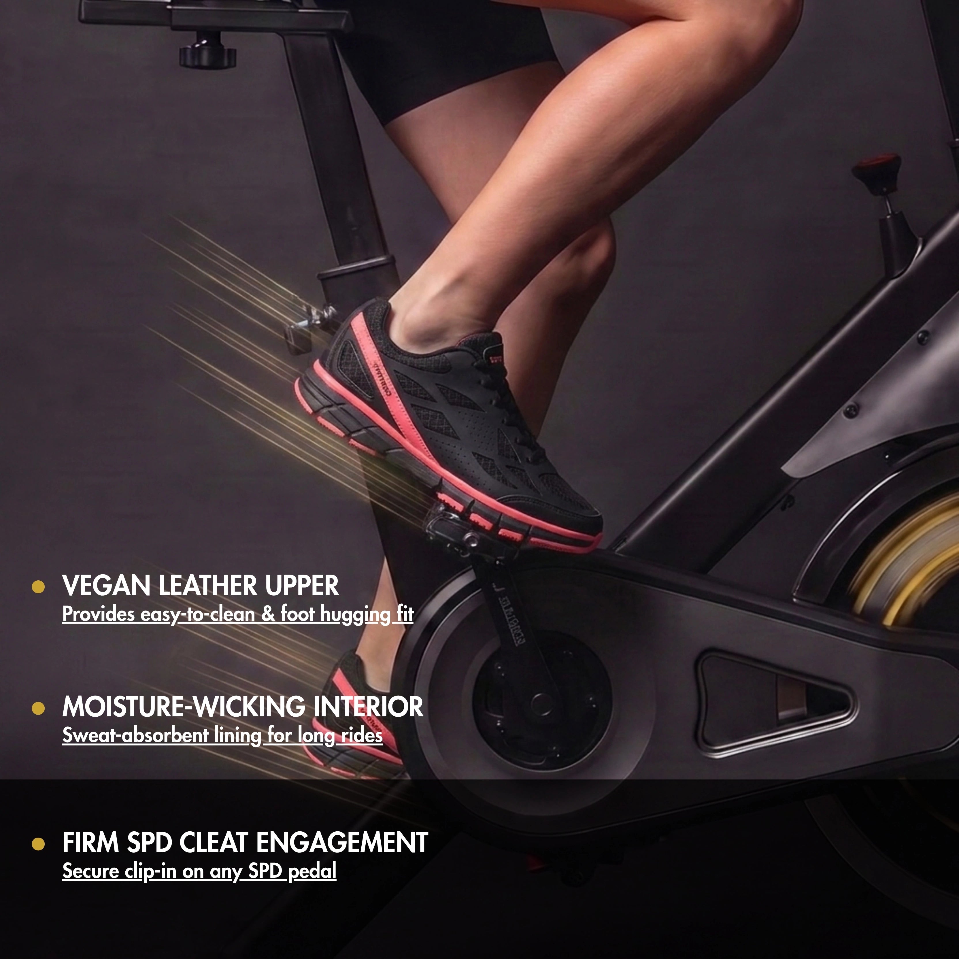 Venezia - Indoor Cycling & Commuting / SPD Cleats Included