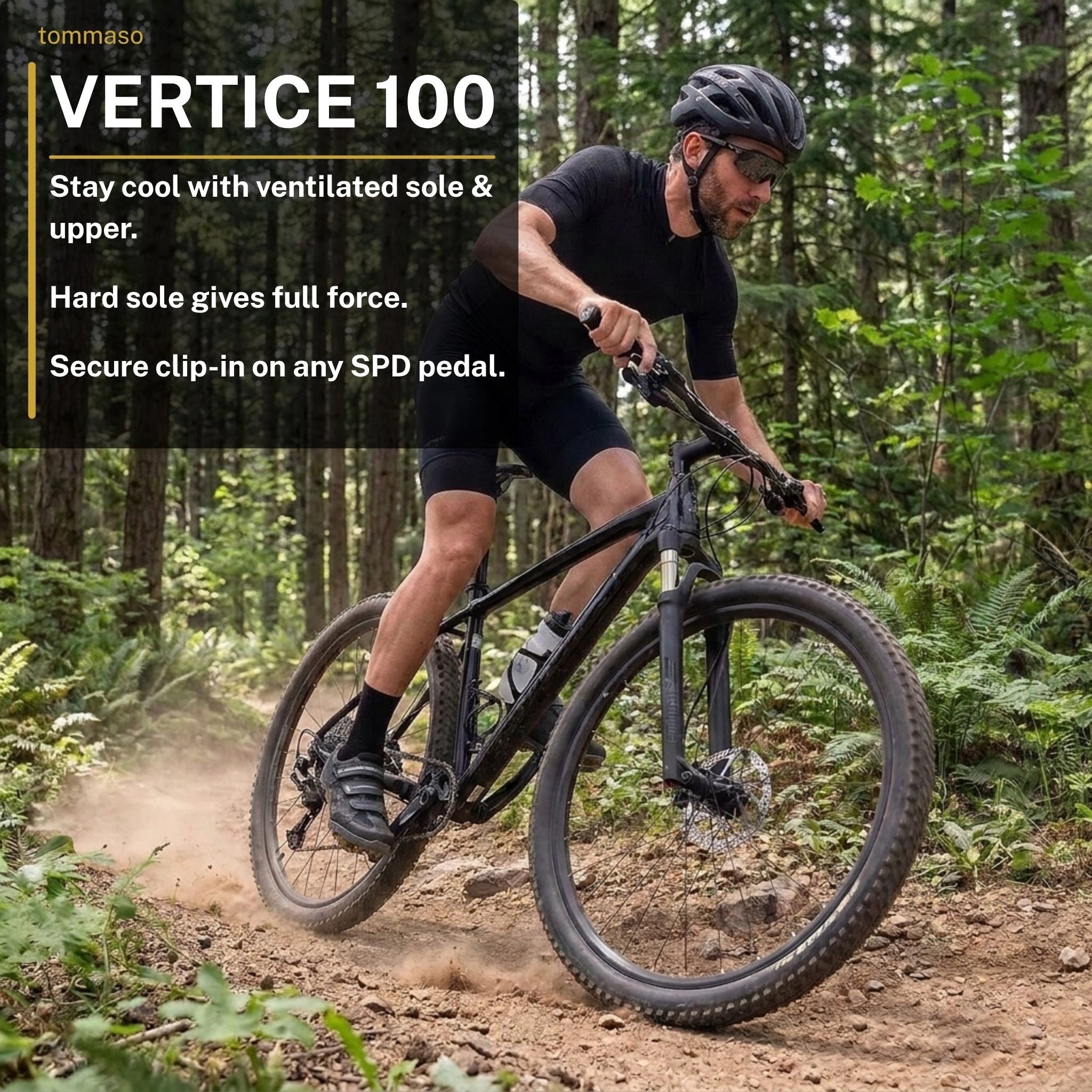 Vertice 100