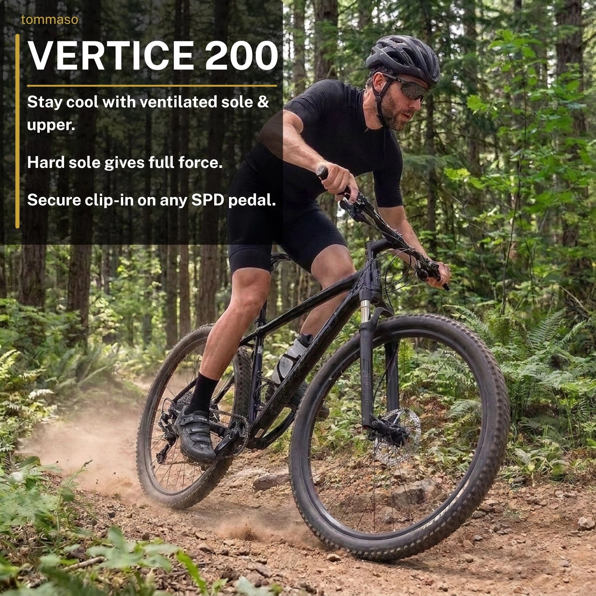 Vertice 200