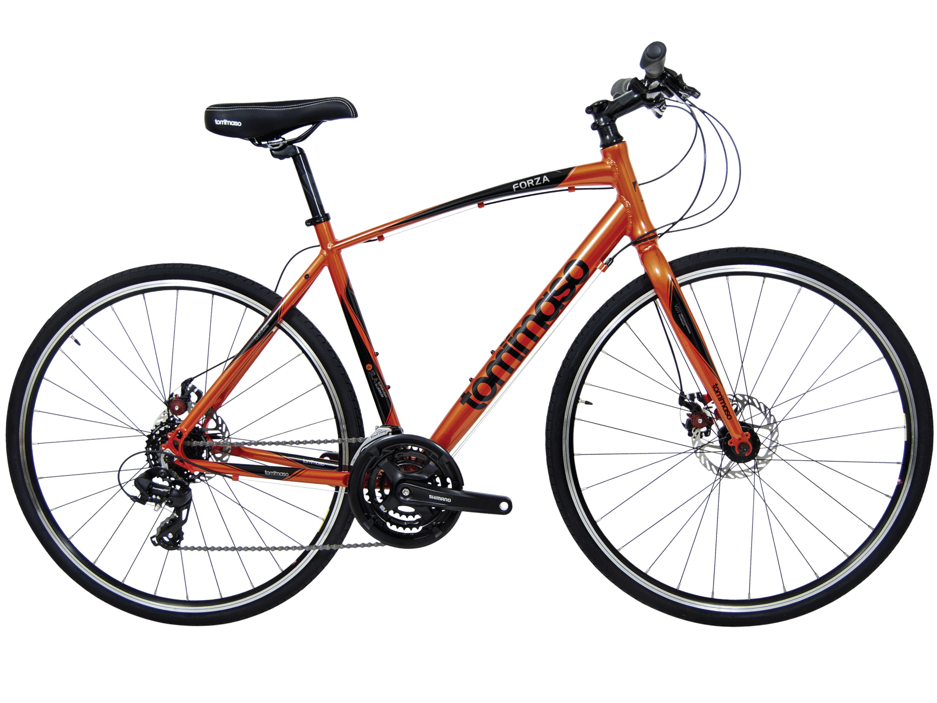 Forza_PP_1.png?v=1754598805&