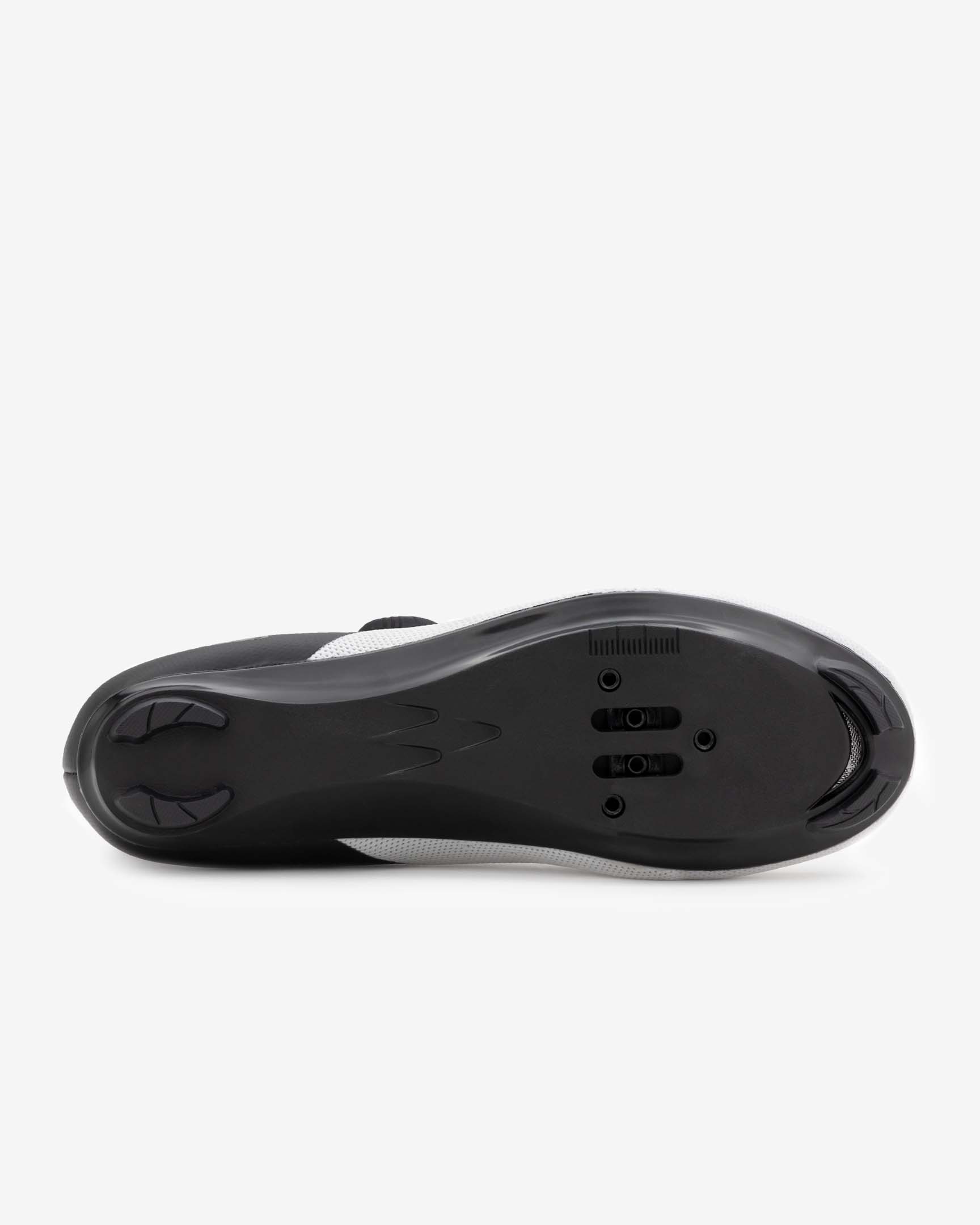 Pista Elite - Road Cycling